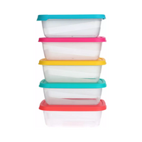 Lunch Box Set (5pc)