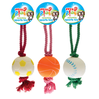 Dog Pull with Ball