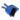 832272 Pan  Brush Set.jpg