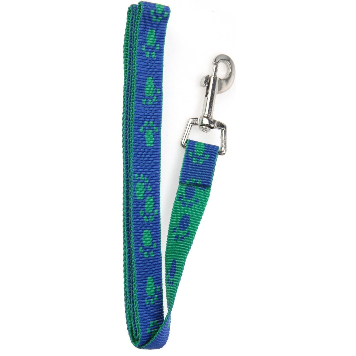 collar and lead.jpg