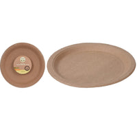 paper plates.jpg