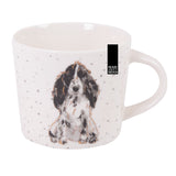 Spaniel.jpg