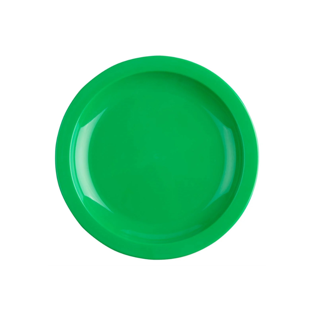 Polyproplene Picnic Plates 25cm