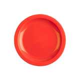Polyproplene Picnic Plates 25cm