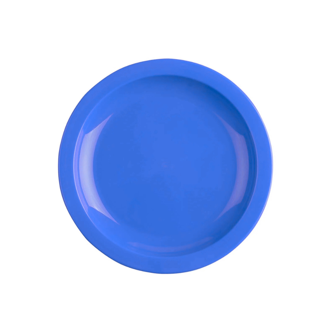 Polyproplene Picnic Plates 25cm